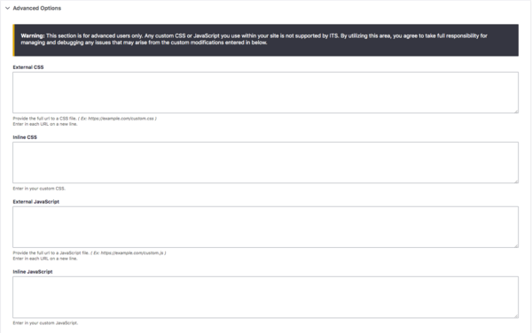 screenshot of advanced options for css and javascript