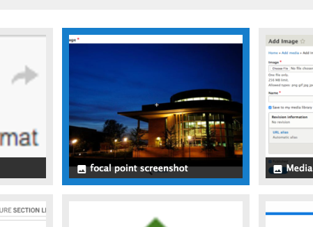 image bounding box screenshot