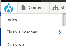Flush all caches screenshot