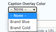 bubble grid overlay color options