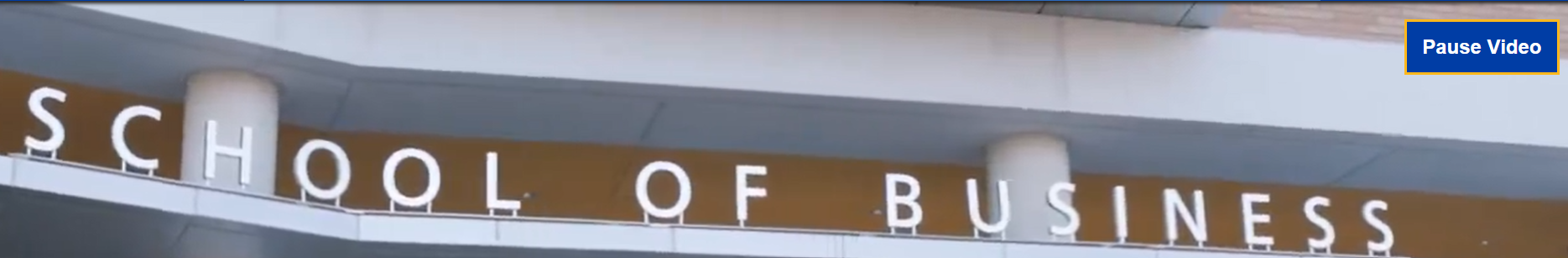 Screenshot of a video header with a pause and play button