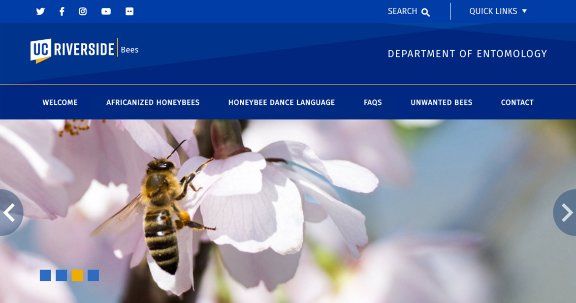 CNAS Theme CNAS Theme example screenshot