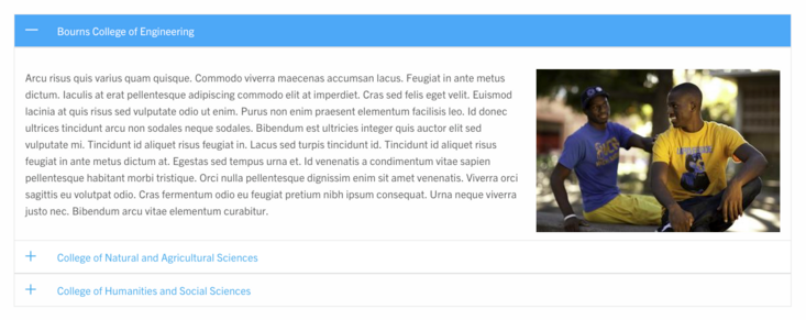 Accordion example accordion example screenshot