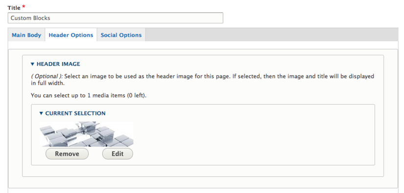 Header Options header options screenshot