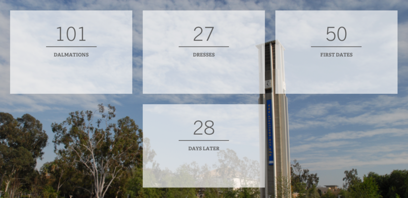 statistics grid example statistics grid screenshot